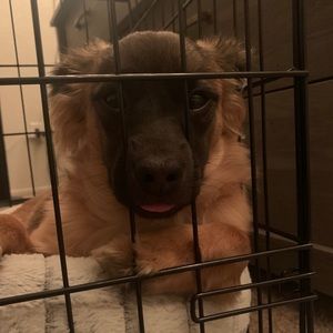 Meet your Posher, Mikayla